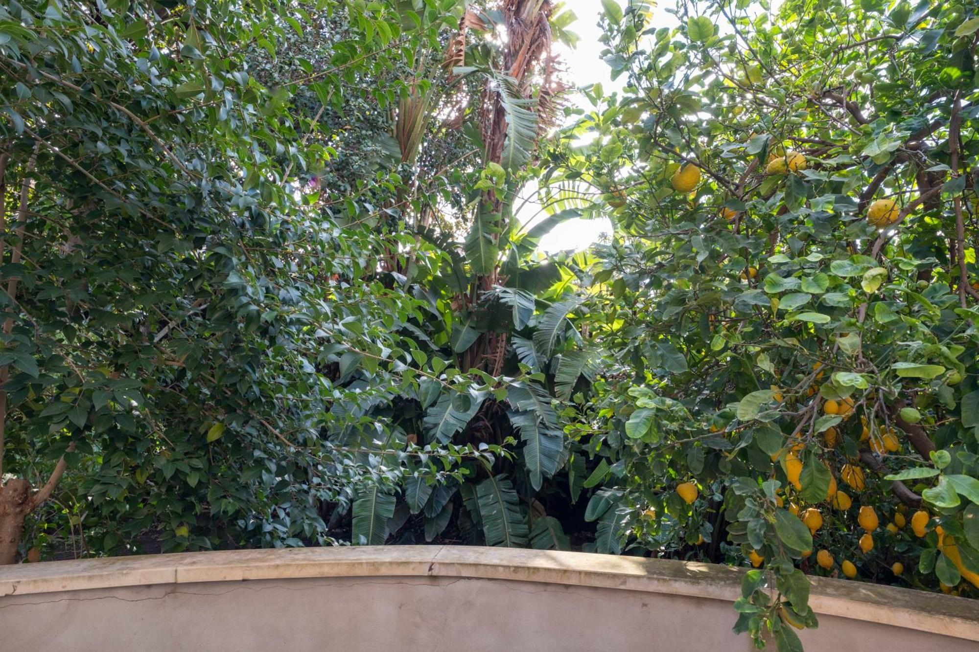 La Corte Dei Nespoli Acireale Bagian luar foto